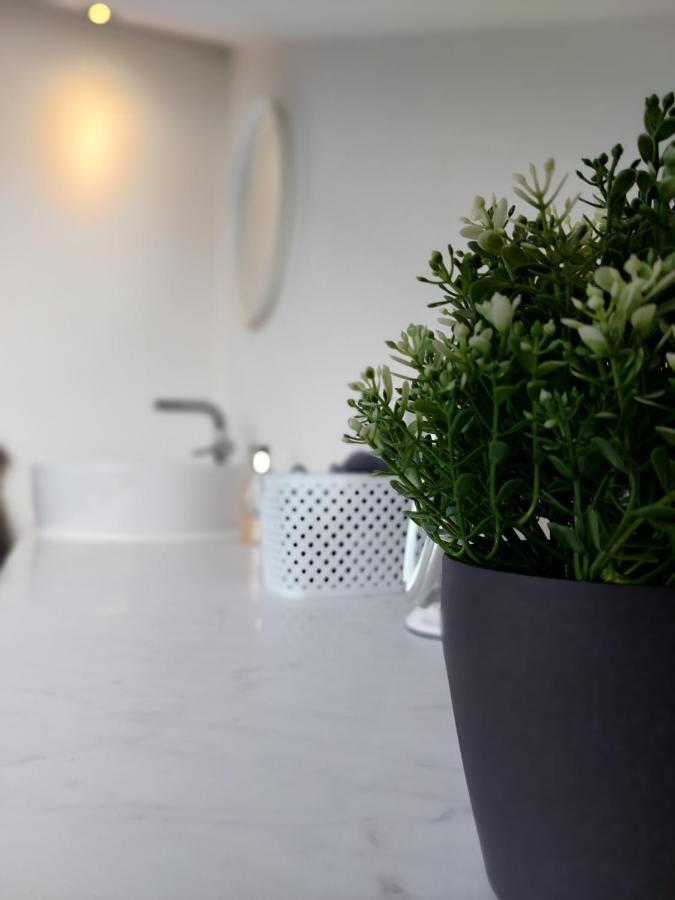 Ferienwohnung Suedhang Winterberg Kültér fotó